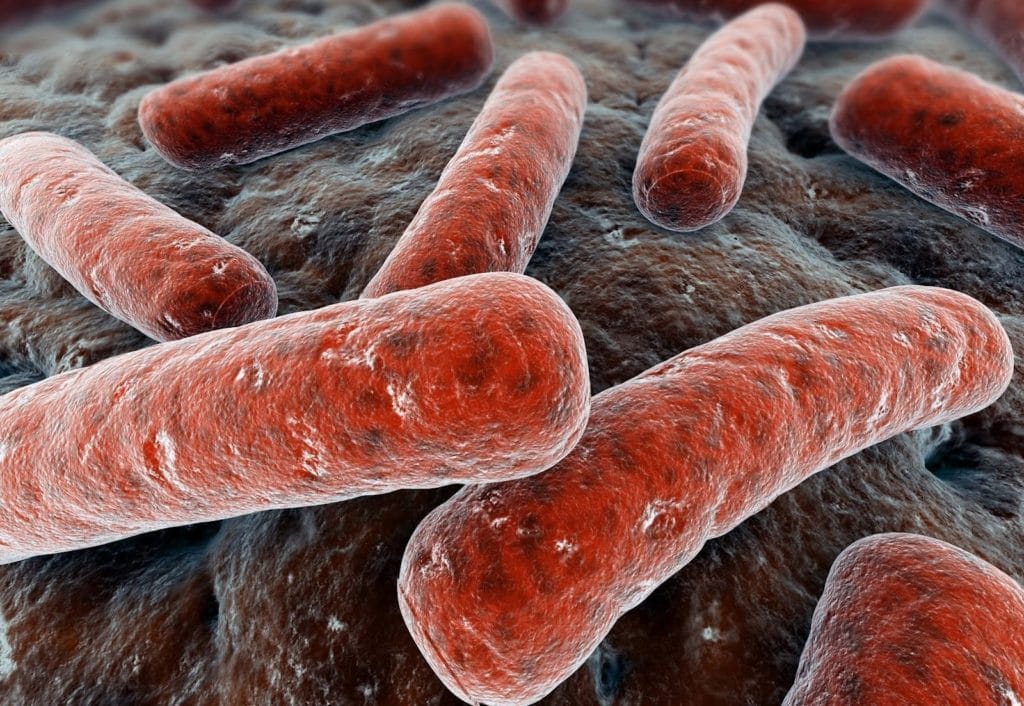 Бактерия африканского туберкулёза