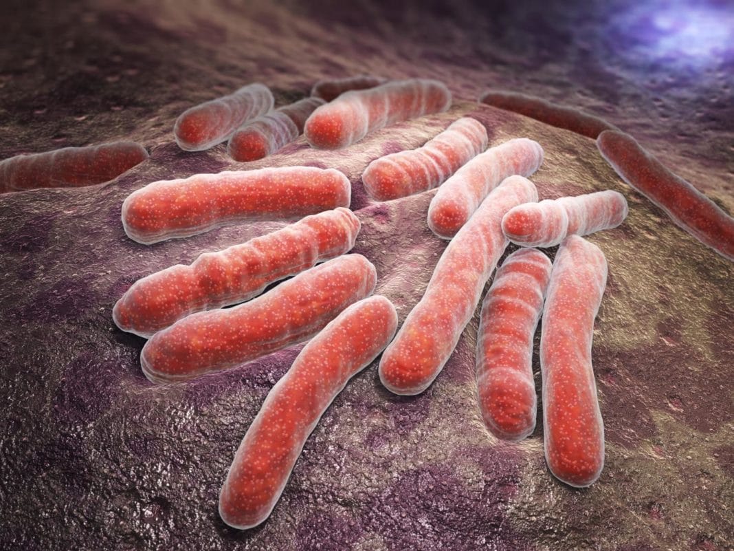 Туберкулез: можно ли вылечить и кто находится в группе риска?