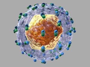 вирус гепатита c