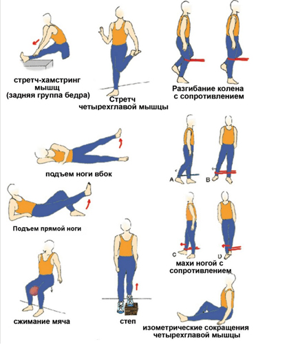 Комплекс упражнений для коленных суставов