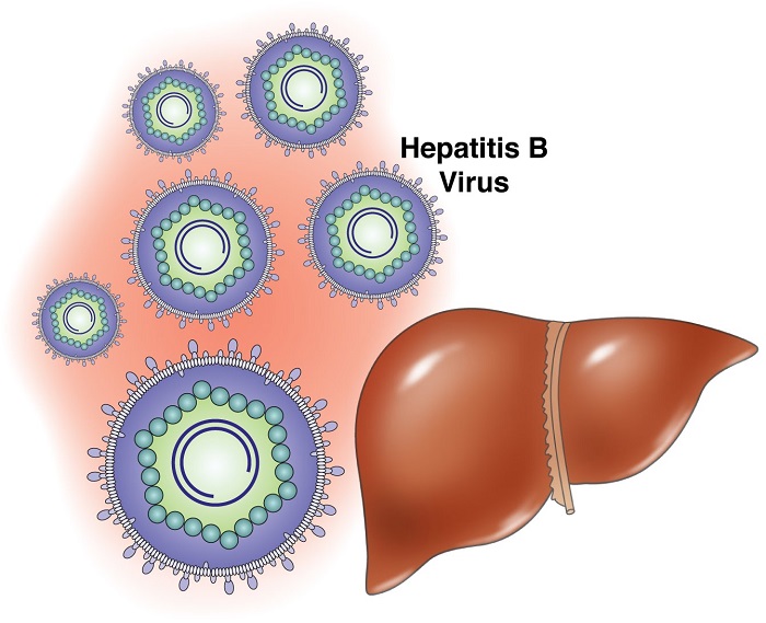Вирусный гепатит В