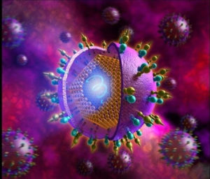 Геномы вируса гепатита C