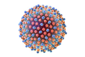 Вирус гепатита C