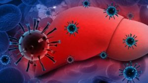 При развитии гепатита С снижение функциональноти органа достигает 80%